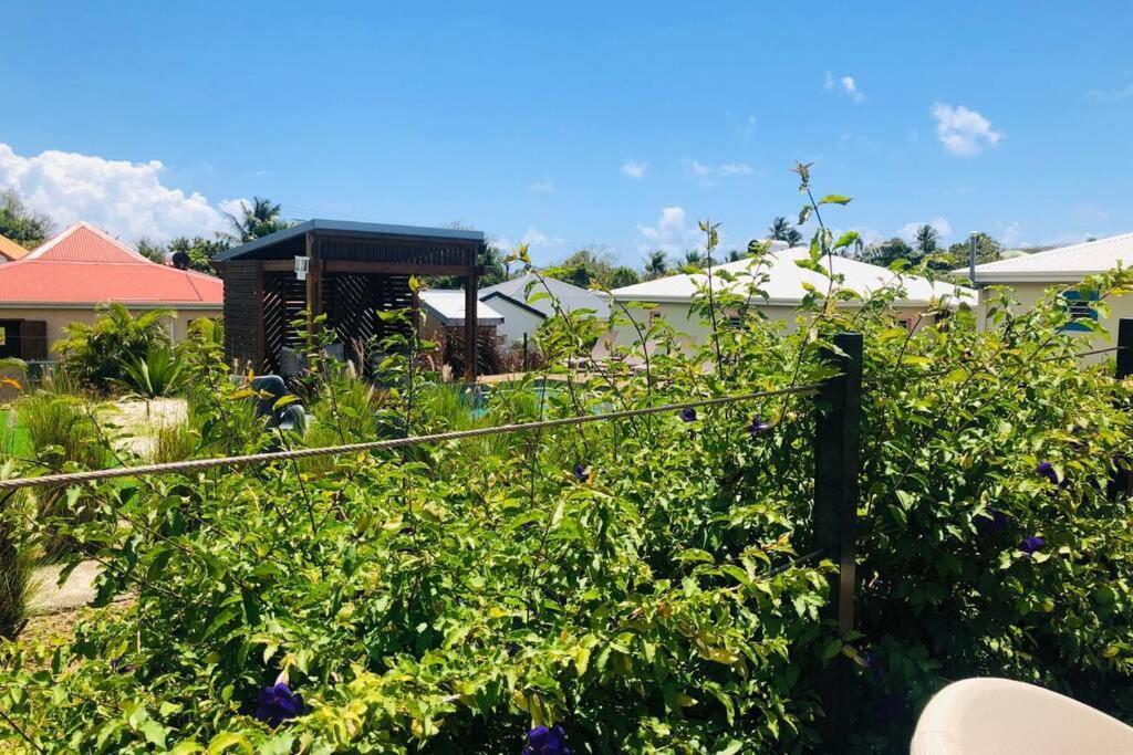 Aigue-marine Appartement Sainte-Anne (Grande-Terre)